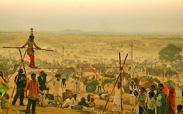 beautiful pics of pushkar fair