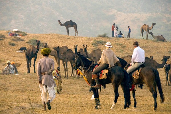 beautiful pics of pushkar fair
