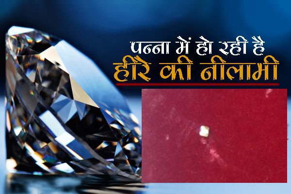 155 diamonds on auctions in panna madhya pradesh
