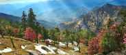 almora