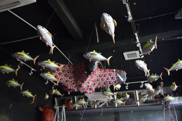 worlds first fish aquarium images fatehsagar udaipur