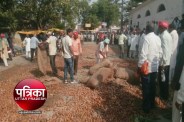 Farmers Throw Potato on Road