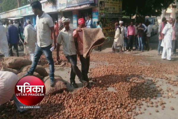 farmers Throw Potato on Road in UP