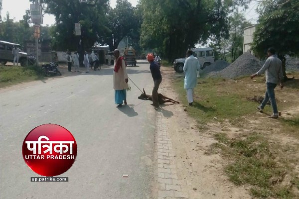 farmers Throw Potato on Road in UP