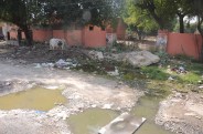 MP colony 