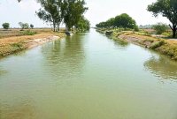 Chambal Canals Project, Poor Construction, State Government, Canal Repair Work, Irrigation, Agricultural Sector, CAD Officer, Chamble Project Management Committee, Government Action Kota, Kota Patrika, Kota Patrika News, Rajasthan Patrika