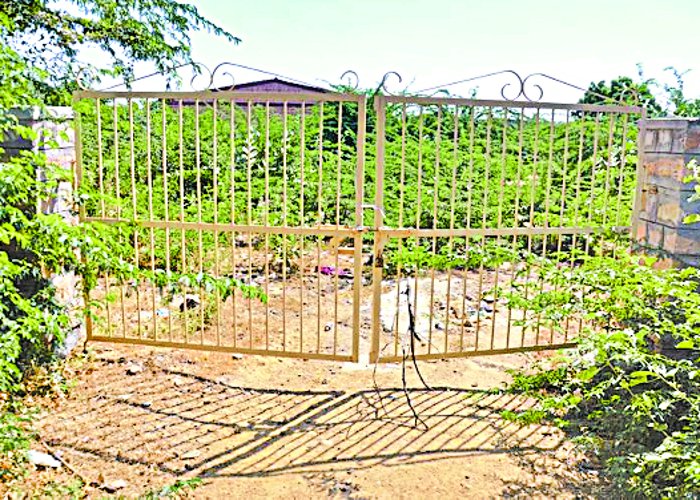 Thousands of people had to be deprived of electricity because of a cat