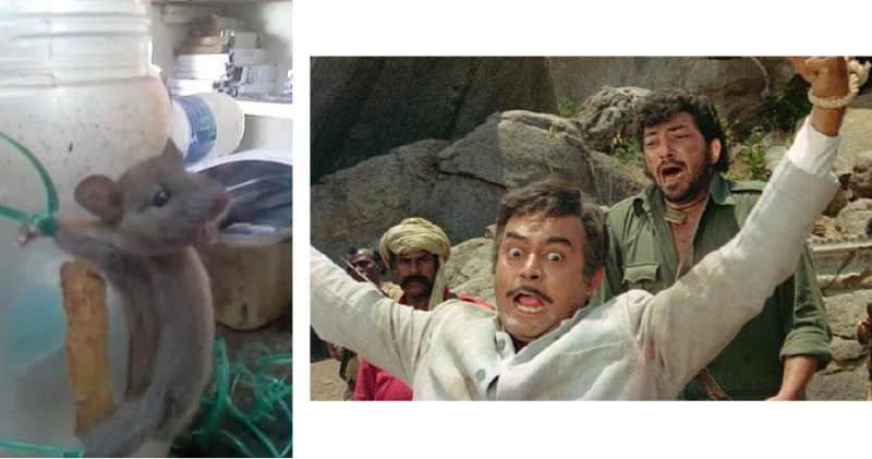 Mysore shopkeeper ties a MOUSE to jar and beats it with a stick5