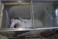 dead body in freezer
