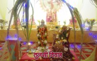 Tulsi Vivah Puja vidhi 2017