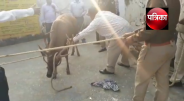 saharanpur