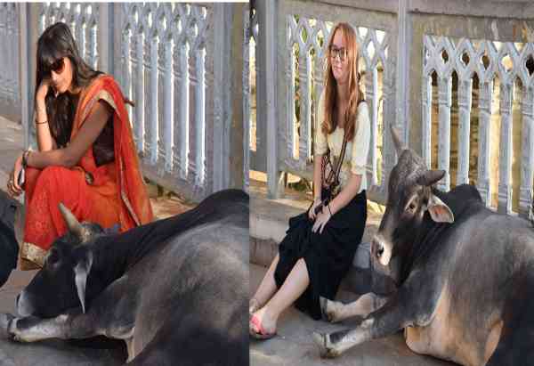 PICS: indian Foreigner People in udaipur