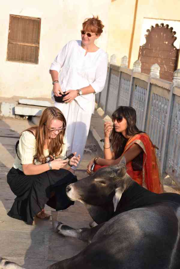 PICS: indian Foreigner People in udaipur