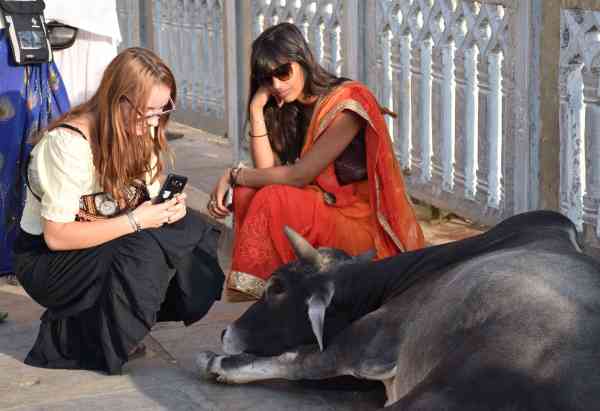 PICS: indian Foreigner People in udaipur