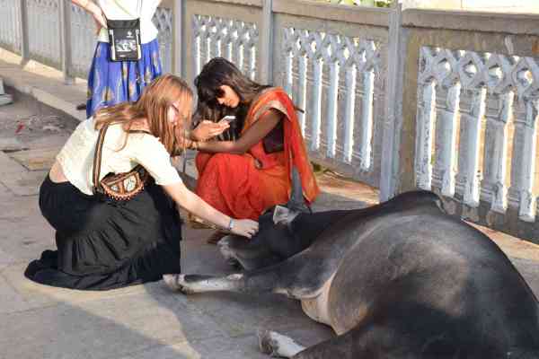 PICS: indian Foreigner People in udaipur