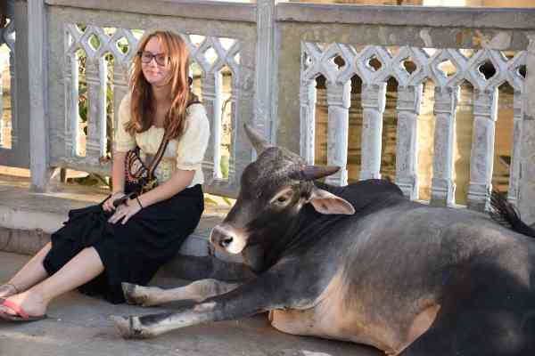 PICS: indian Foreigner People in udaipur