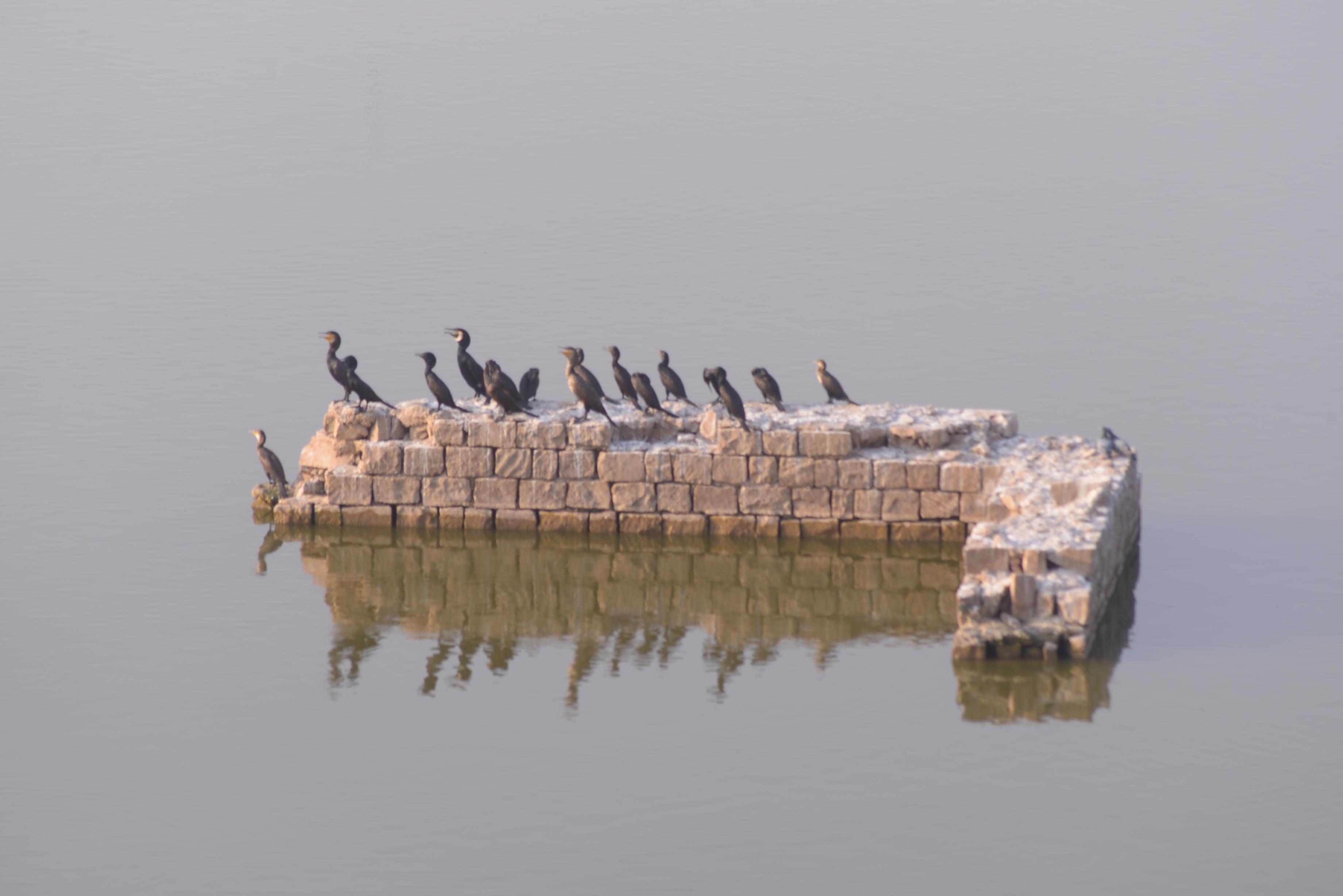 weather news,jodhpur news in hindi,weather news of jodhpur,