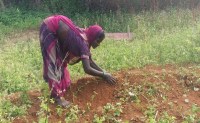 Woman buried husband body
