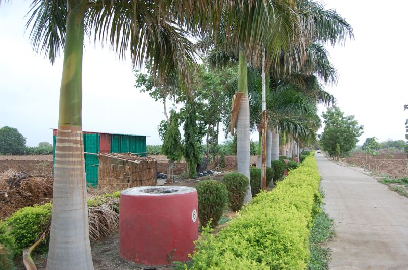 World Heritage Race in Kundi Bhandara in burhanpur