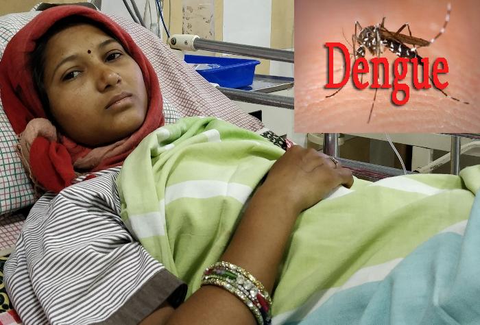 Dengue Suffer Mother