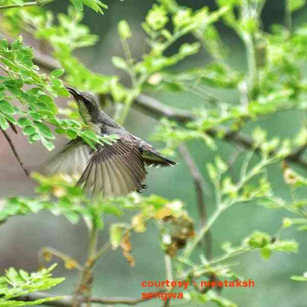 photography destinations in jodhpur