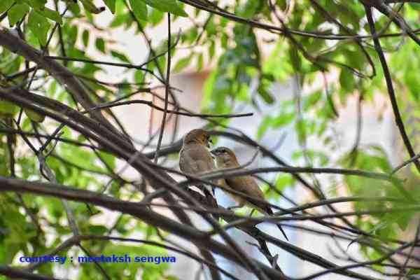photography destinations in jodhpur