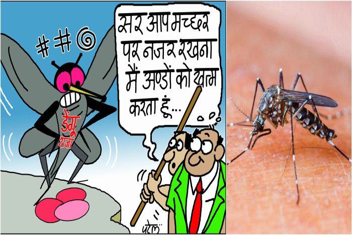 mosquito uncontrolable