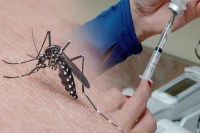 why dengue vaccine is not effective in India