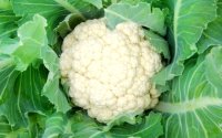 benefits of cauliflower