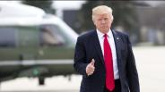 trump, immagiration policy