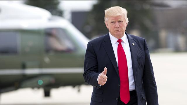 trump, immagiration policy