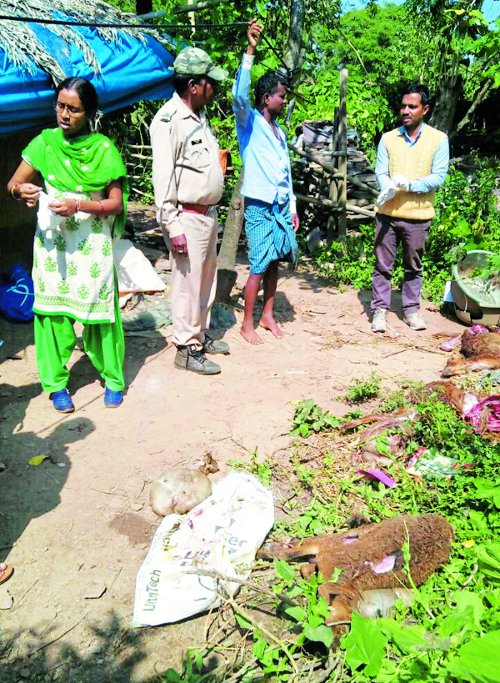 ग्रामीणों का कहना है भेडिय़ा या किसी जंगली जानवर ने किया हमला