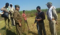 Forest department on spot