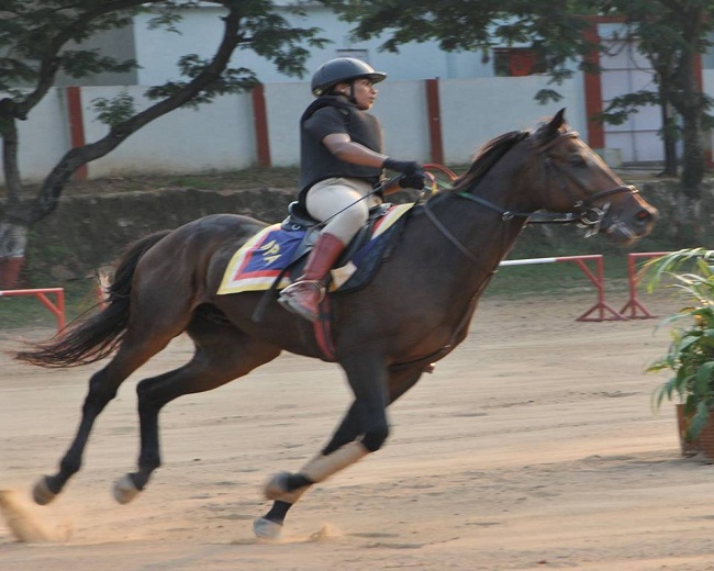 Horse Riding