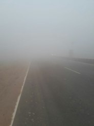 fog