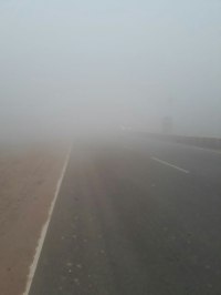 fog