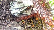 Udaipur: SIERT hidden facts about the deforestation
