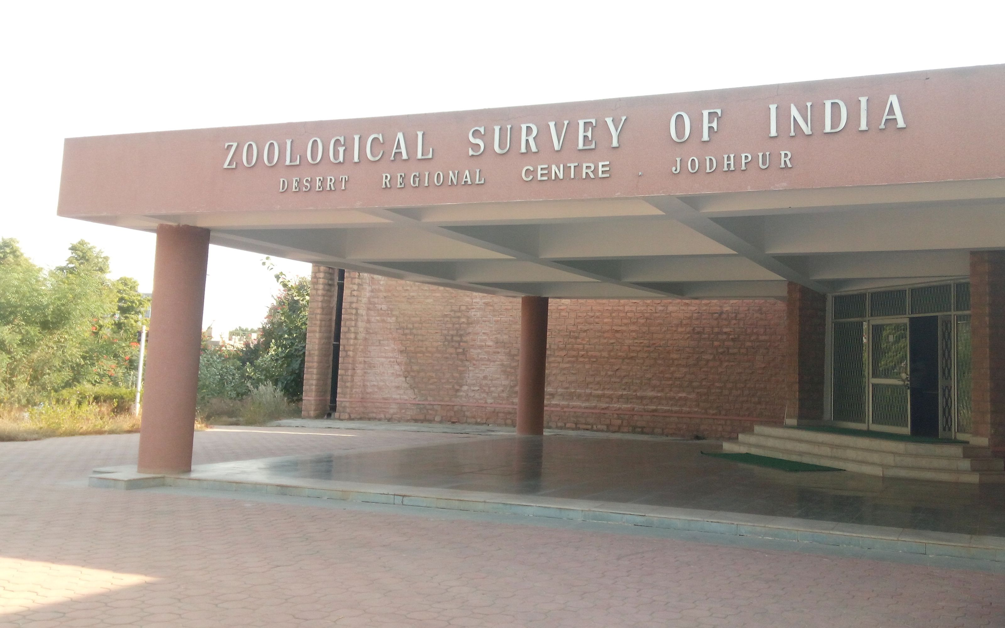 Jodhpur: Know our department- Desert Regional Centre of ZSI