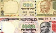 Demonetization