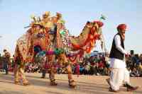 bikaner visit