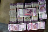 yogi government
