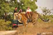 jim corbett