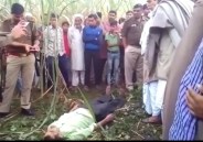 farmer suicide