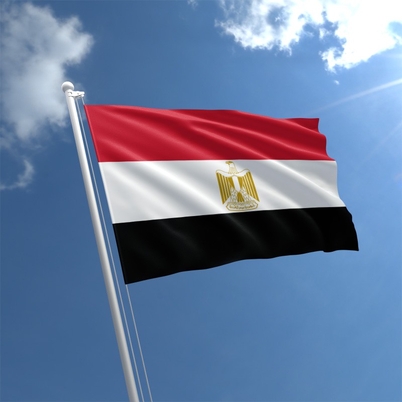 Egypt , Philistine-Israel favors peaceful solution problem