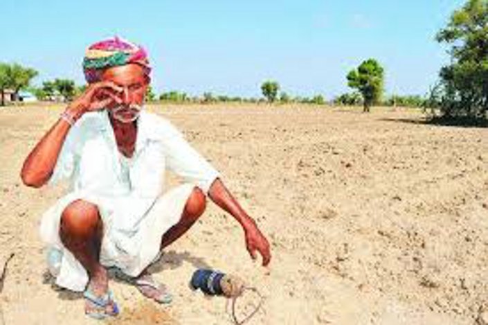jadu ka danda, Minister of Agriculture, Minister Gajendra Singh Shekhawat, Food, Soyabean, Urad Dal, Bank, Cooperative Bank, Bamashah Mandi, Agriculture Dialogue Program, Minister of State for Agriculture, Bank of Baroda, Representative of farmer, Kota, Kota Patrika, Kota Patrika News, Rajasthan Patrika