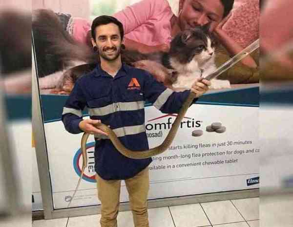 Man Heard Noise In Bathroom