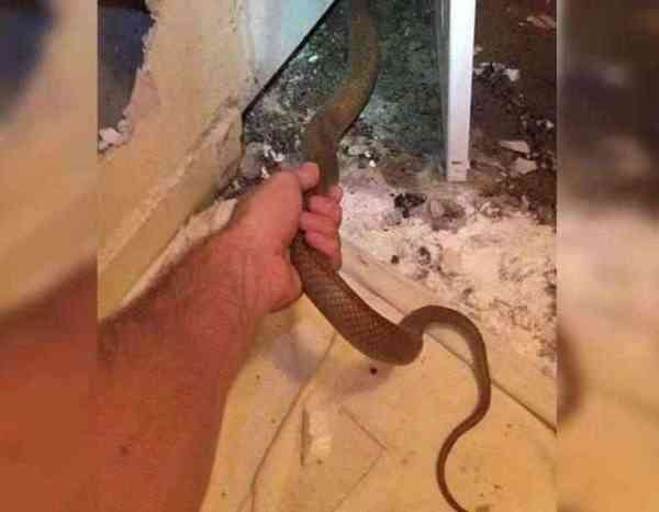 Man Heard Noise In Bathroom