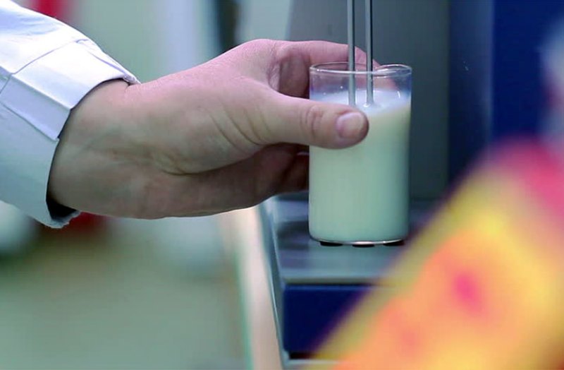 Food Sample Report in Jalore