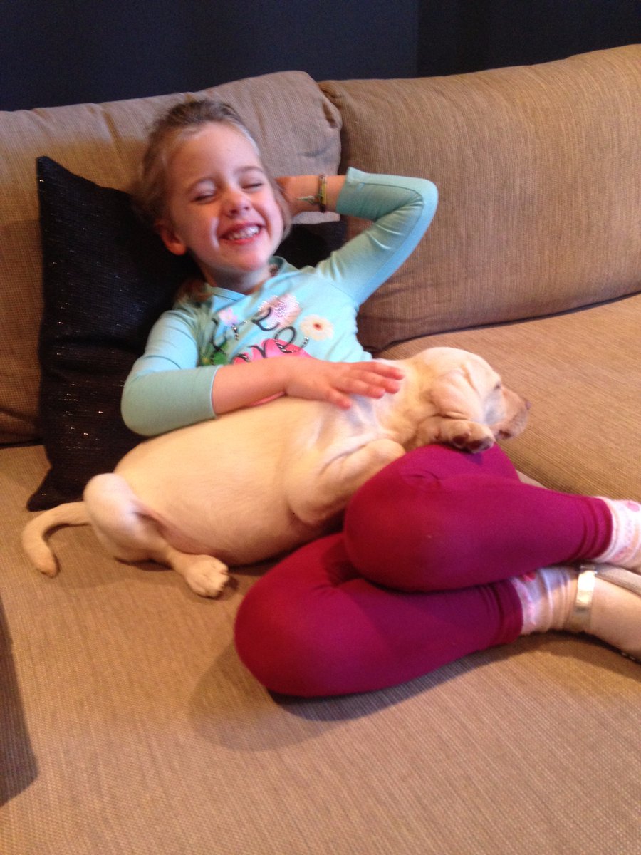 neither ask laptop-ipad nor jewelry just ask back our cute puppy