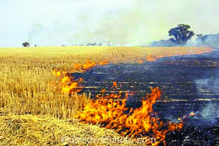 Delhi pollution flame up to Chhattisgarh